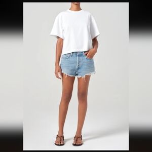 Agolde Parker Vintage Cut Off Short In Animate